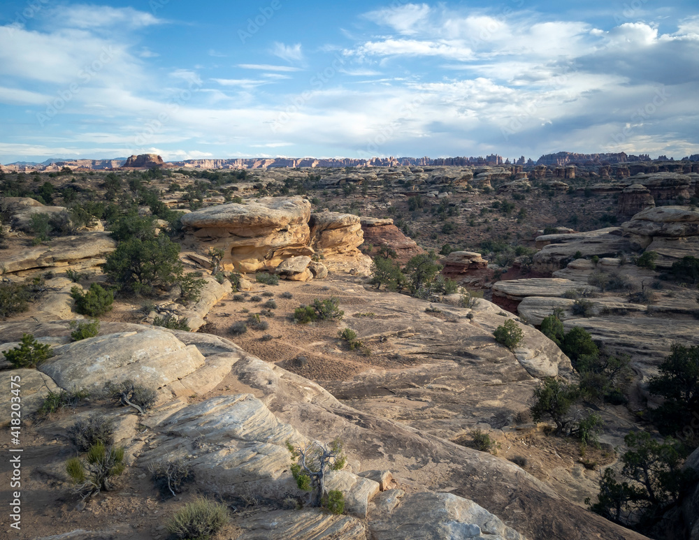 Incredible Pothole Point Trails in Canyonlands National Park in Utah