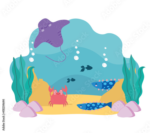 underwater animals scene