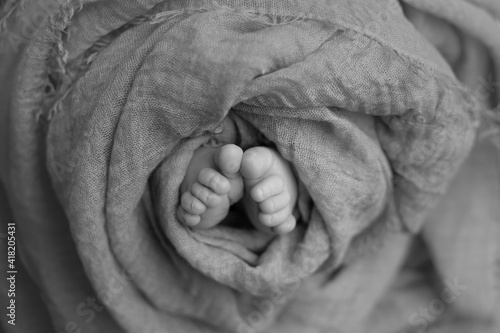 small legs black and white photo. feet of a newborn baby. baby feet © Svetlana