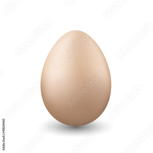 One chicken egg on white background.