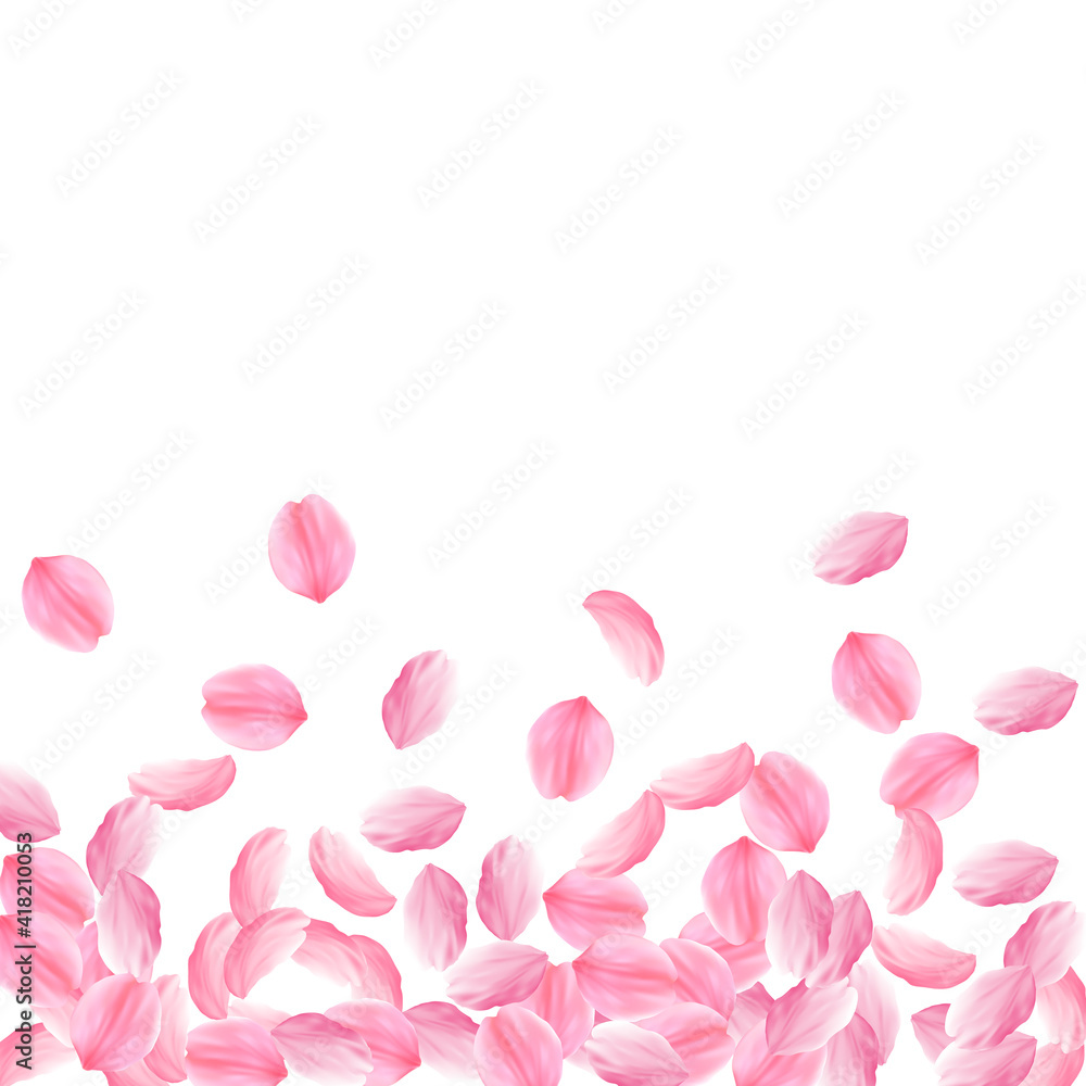 Sakura petals falling down. Romantic pink bright big flowers. Thick flying cherry petals. Scatter bo Sakura petals falling down. Romantic pink bright big flowers. Thick flying cherry petals. Scatter bo