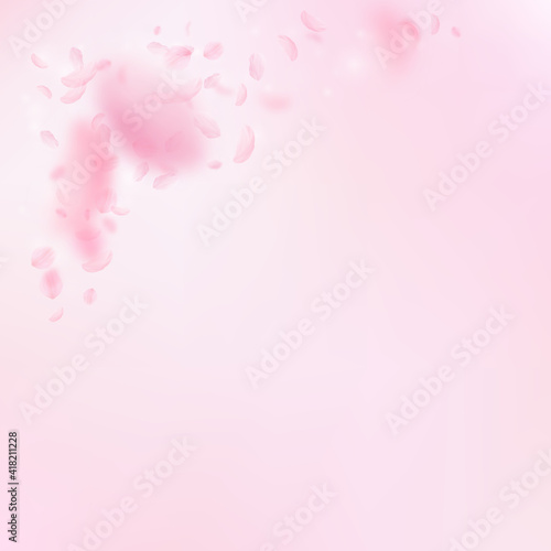 Sakura petals falling down. Romantic pink flowers corner. Flying petals on pink square background. L © Begin Again