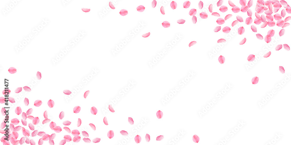 Sakura petals falling down. Romantic pink bright medium flowers. Thick flying cherry petals. Wide co