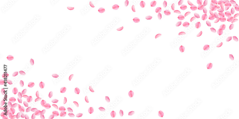 Sakura petals falling down. Romantic pink bright medium flowers. Thick flying cherry petals. Wide co Sakura petals falling down. Romantic pink bright medium flowers. Thick flying cherry petals. Wide co