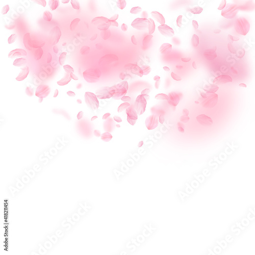 Sakura petals falling down. Romantic pink flowers semicircle. Flying petals on white square backgrou