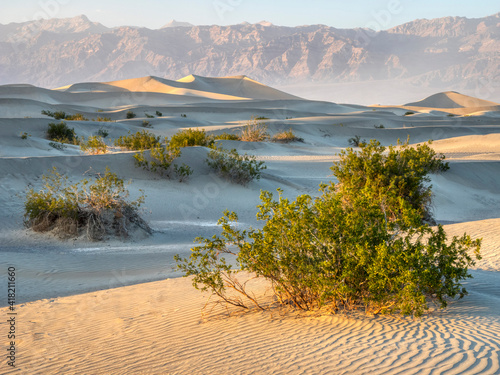 USA, California. Death Valley National Park, Mesquite Flats Sand Dunes.