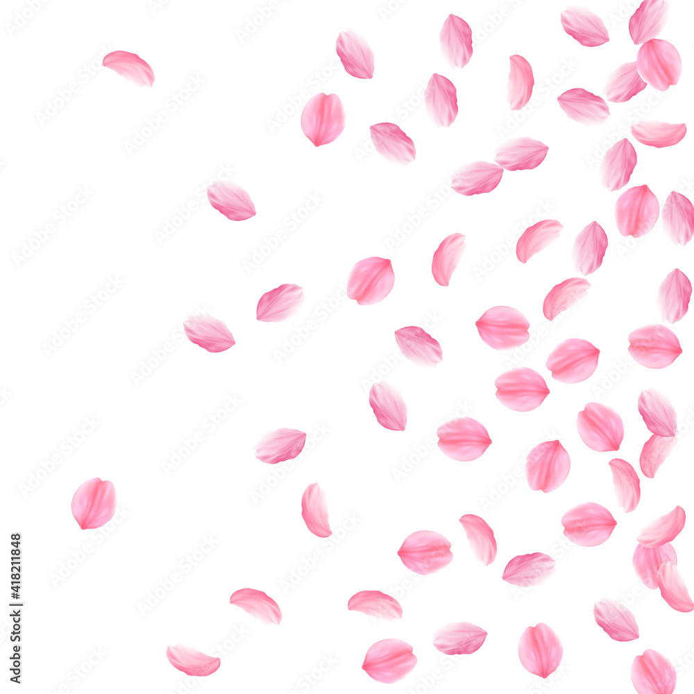 Sakura petals falling down. Romantic pink silky medium flowers. Sparse flying cherry petals. Right g