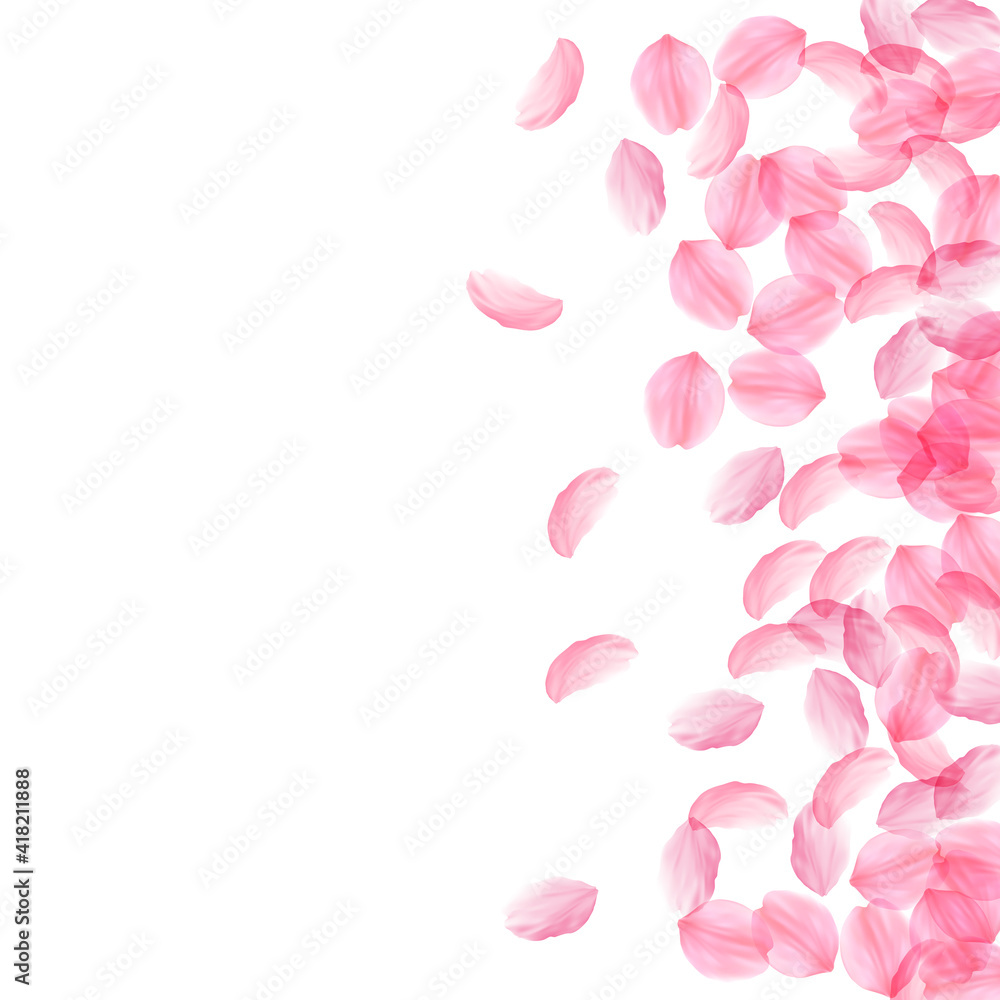 Sakura petals falling down. Romantic pink silky big flowers. Thick flying cherry petals. Scatter rig Sakura petals falling down. Romantic pink silky big flowers. Thick flying cherry petals. Scatter rig