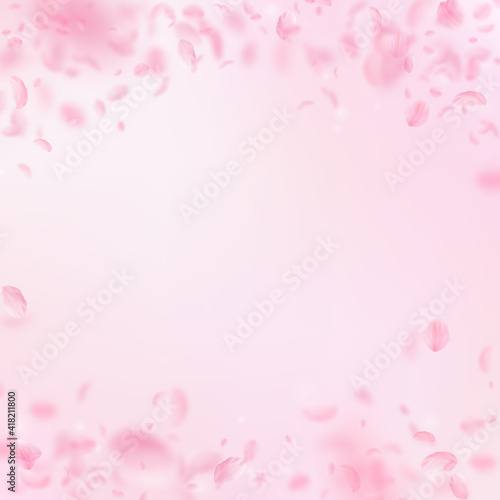 Sakura petals falling down. Romantic pink flowers falling rain. Flying petals on pink square backgro © Begin Again
