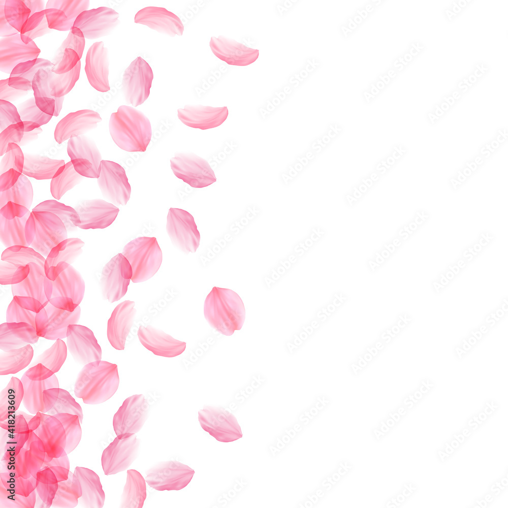 Sakura petals falling down. Romantic pink silky big flowers. Thick flying cherry petals. Scatter lef
