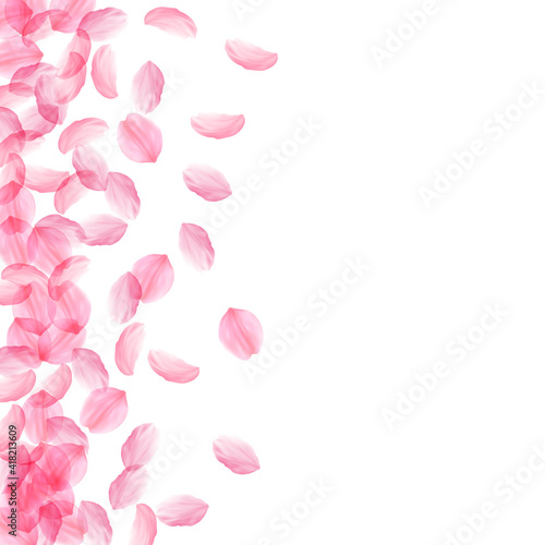 Sakura petals falling down. Romantic pink silky big flowers. Thick flying cherry petals. Scatter lef