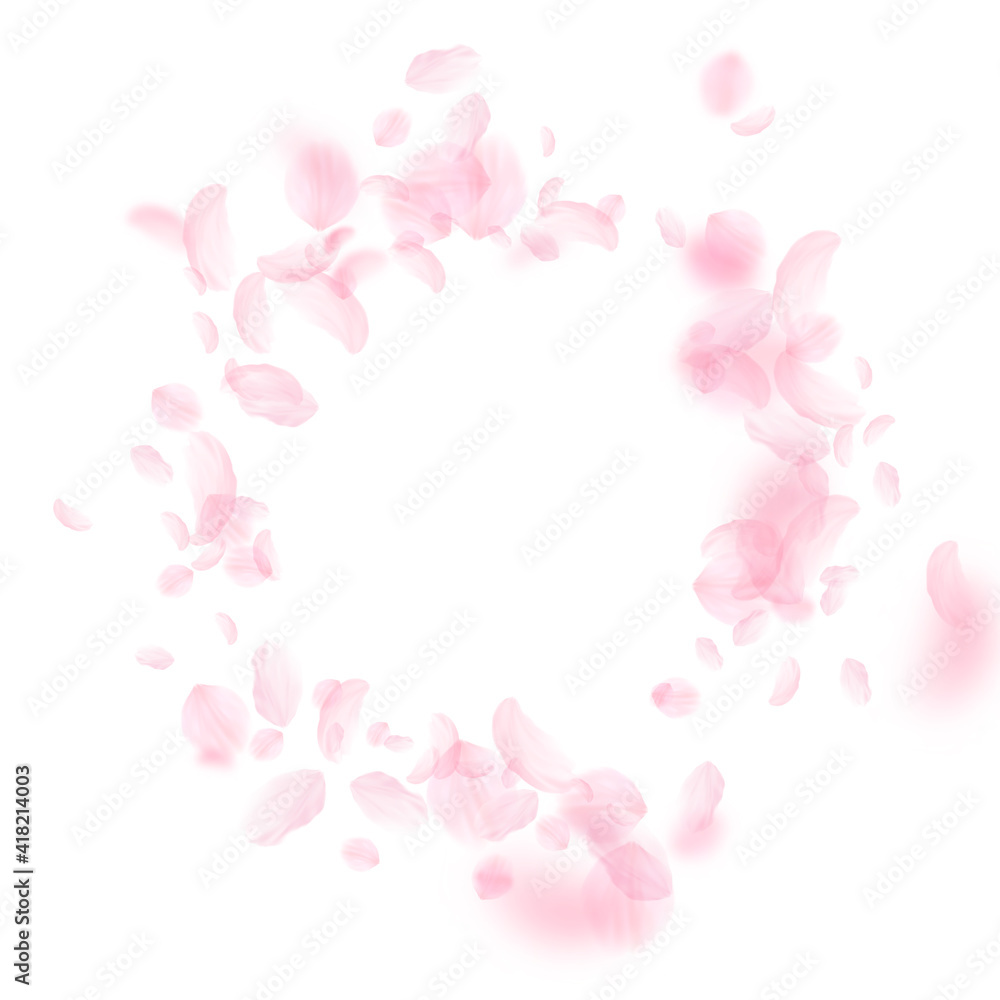 Sakura petals falling down. Romantic pink flowers vignette. Flying petals on white square background