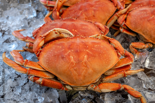 Dungeness crab, San Francisco, California, USA.