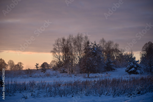 It's wintertime, trees in the garden covered with snow. Morning and sunrise background. © Mariusz