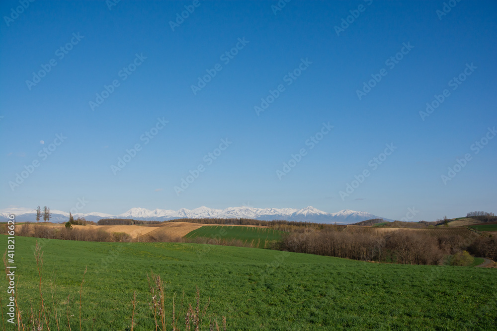 春の晴れた日の緑の牧草畑と残雪の山並み
