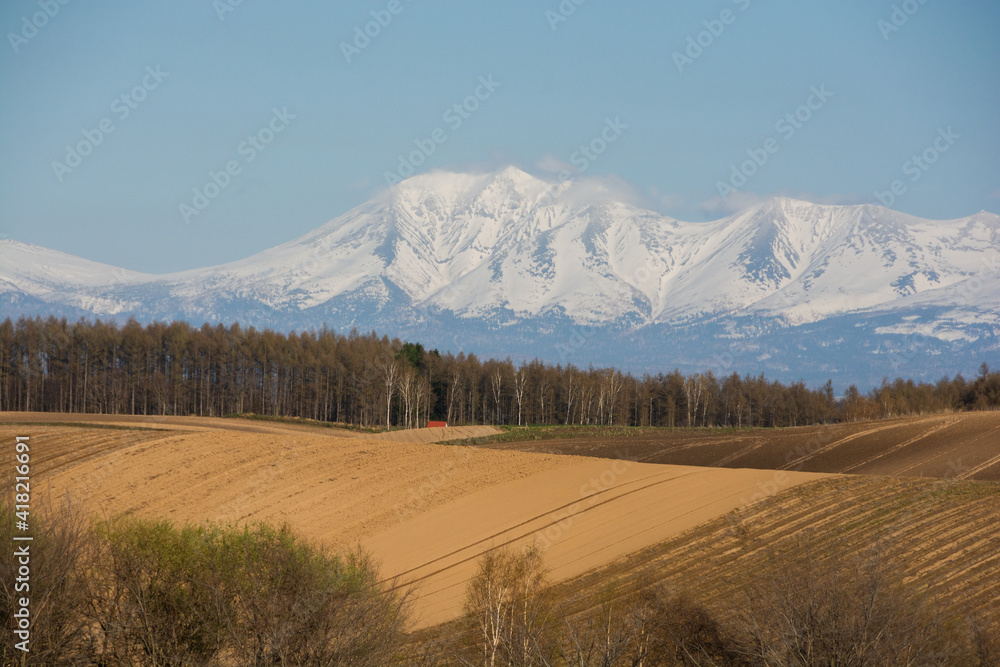 春の畑と残雪の山並み　十勝岳連峰
