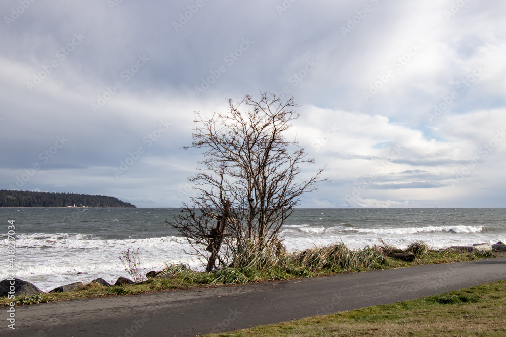 View of Rotary Beach Park North Path in Campbell River on a windy day View of Rotary Beach Park North Path in Campbell River on a windy day
