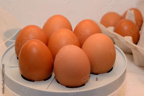 Free Range Eggs In The Egg Cooker
