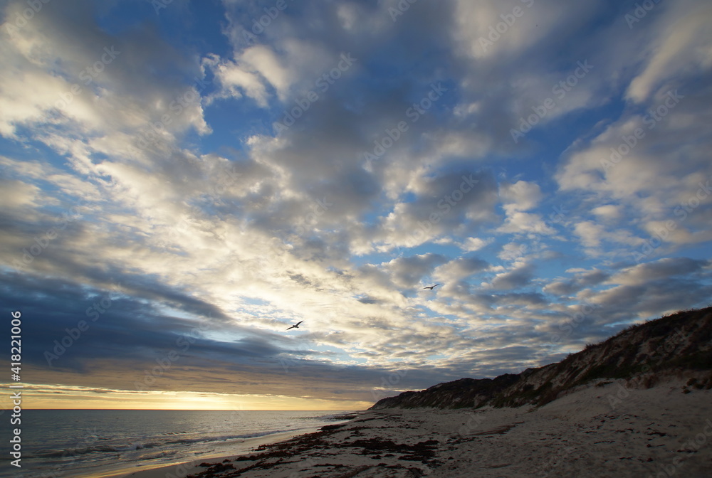 Blue Afternoon