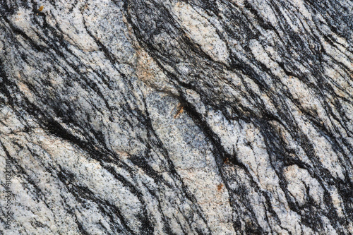 Hornblende granite rocks  California.