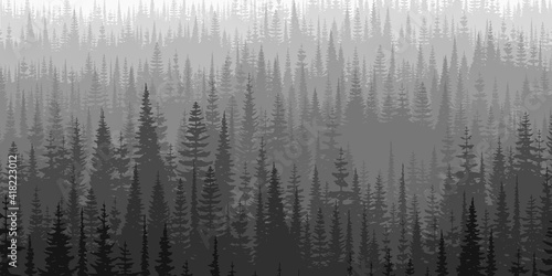 View of taiga expanses, black and white landscape