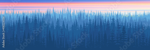 Panoramic view of the taiga in the morning light