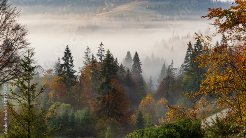 Autumn morning in the mountains  morning fog in the rays of the sun. Mountain landscape  colors of autumn.