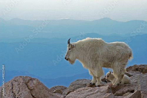 Canvas-taulu USA, Colorado, Mount Evans