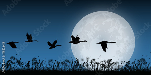 grass silhouette with full moon