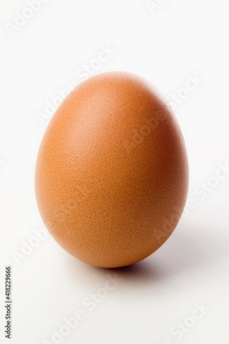 Brown Egg