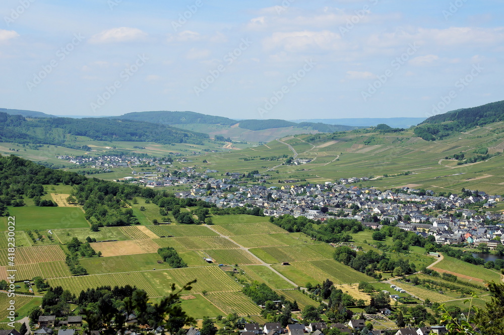 Moselle Valley Near Kröv And Kindel