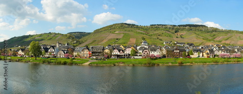 Reil On The Moselle In Springtime