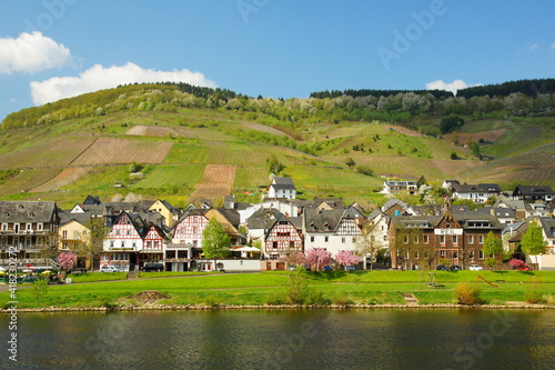 Reil On The Moselle