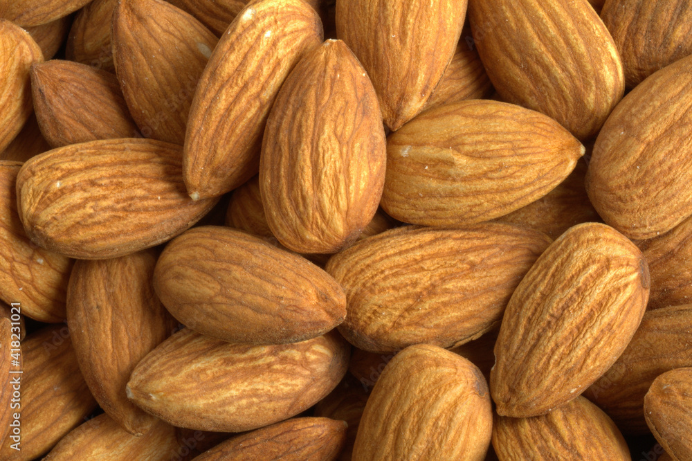 Fresh Almonds Fresh Almonds
