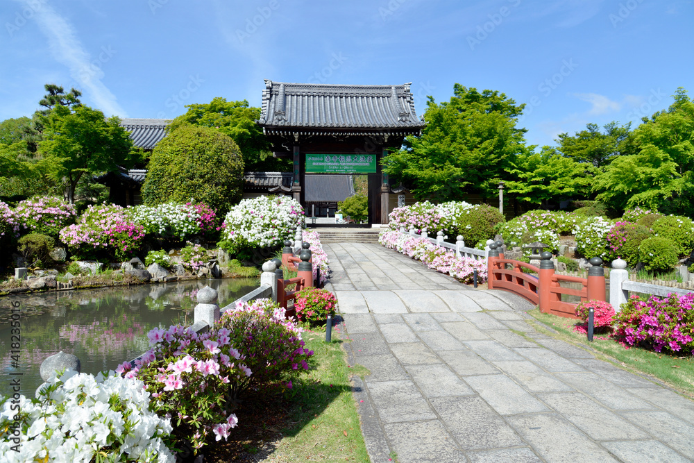 妙満寺　参道と山門　京都市