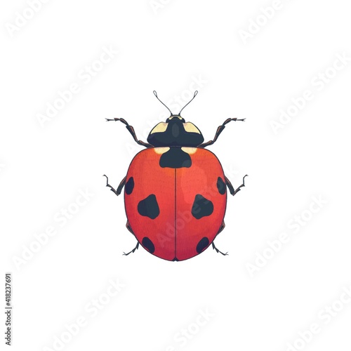 Ladybug digital illustration, isolated on white. Colored pencils imitation.