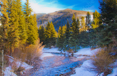 Snowy scene of creek and pine trees in Vail, Colorado.