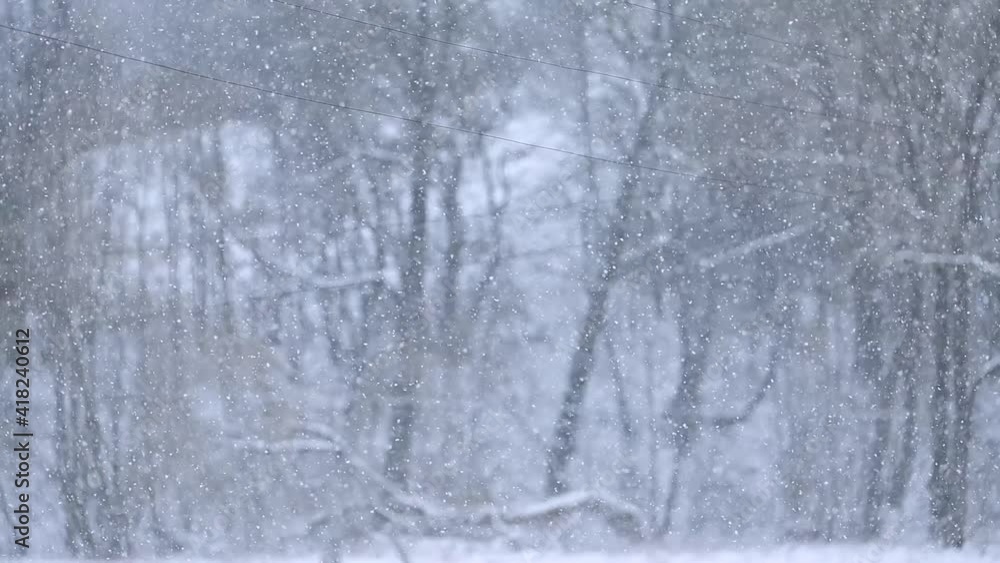 The dance of falling snowflakes in slow motion, an incredible natural phenomenon that can be observed in winter.new The dance of falling snowflakes in slow motion, an incredible natural phenomenon that can be observed in winter.new