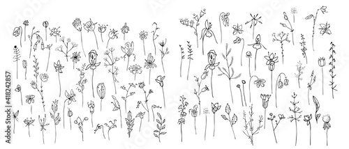 Big set with different stylized wild flowers. Black and white contour linear version. Illustration can be used for coloring b