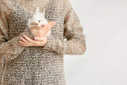 Woman with cute rabbit on light background
