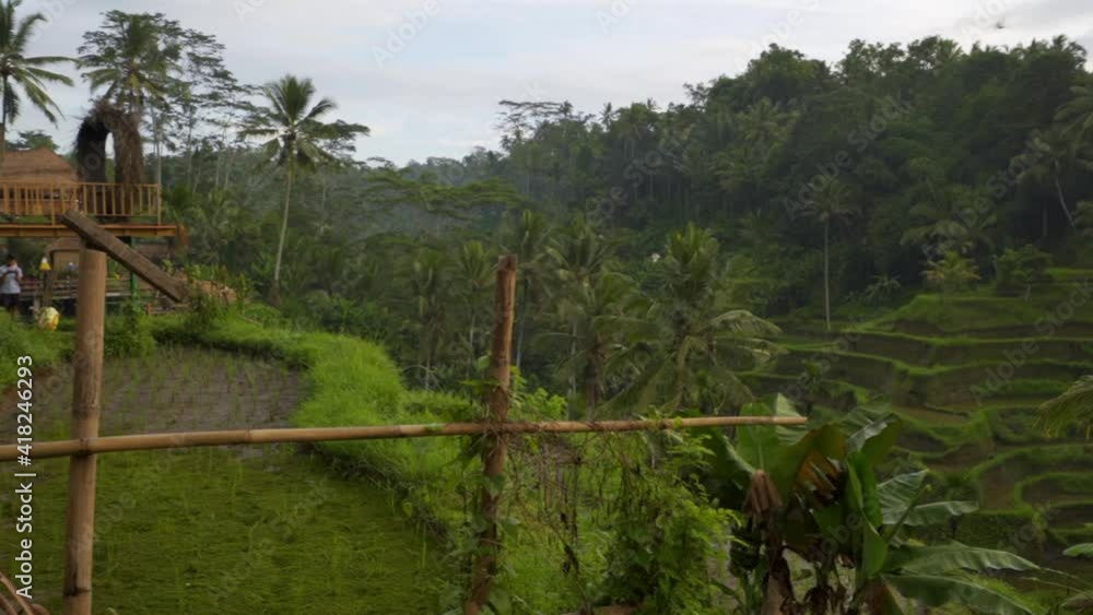 Slow motion pan of a quaint remote farm with rice paddies, terraced ...