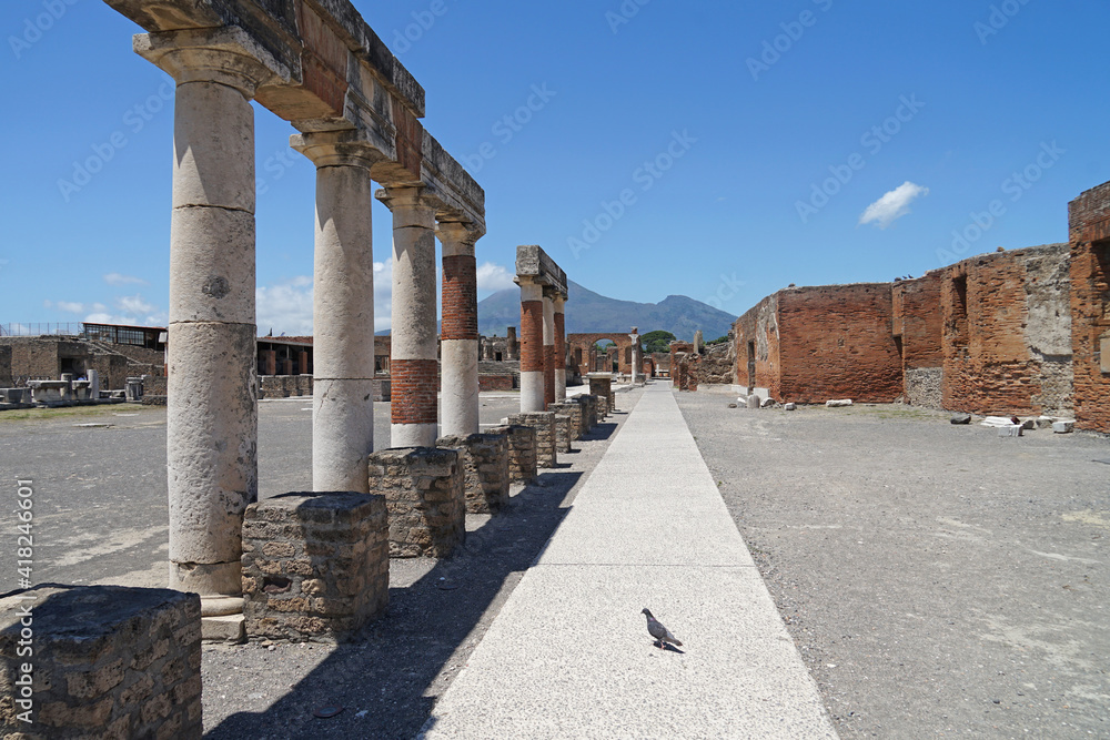 Pompeii famous ancient city buried under ash during volcano Mount Vesuvio major eruption, popular tourist guided tour destination, Pompei, Italy