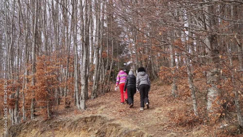 Family in a hike walking in autumn bare branch tree forest Family in a hike walking in autumn bare branch tree forest