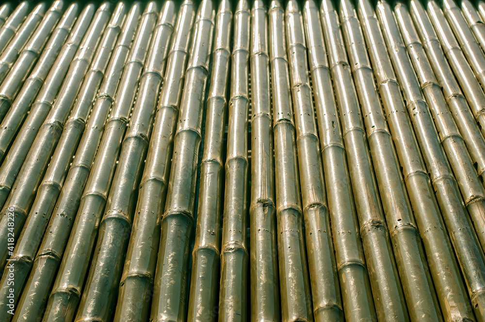 Bamboo fence or wall for background, bamboo row texture and pattern Bamboo fence or wall for background, bamboo row texture and pattern