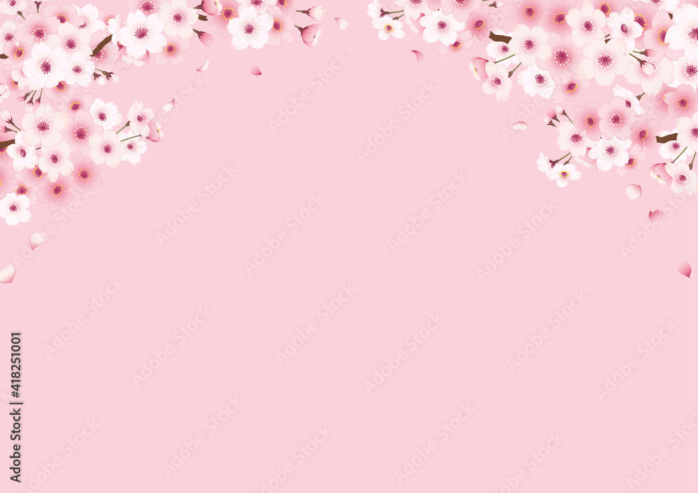 桜の手描きフレーム　横　ピンク背景　上