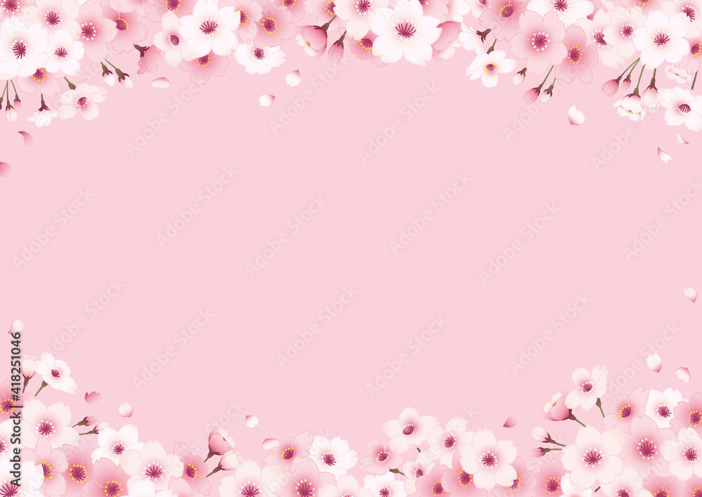 桜の手描きフレーム　横　ピンク背景 上下