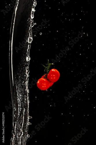 Three red ripe tomatoes on a black background with drops of water and splash