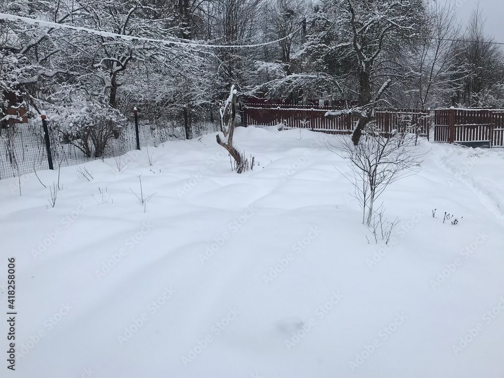 winter, snow, landscape, tree, forest, cold, nature, frost, sky, white, trees, ice, snowy, season, blue, christmas, road, scene, frozen, path, country, mountain, park, beautiful, outdoor winter, snow, landscape, tree, forest, cold, nature, frost, sky, white, trees, ice, snowy, season, blue, christmas, road, scene, frozen, path, country, mountain, park, beautiful, outdoor