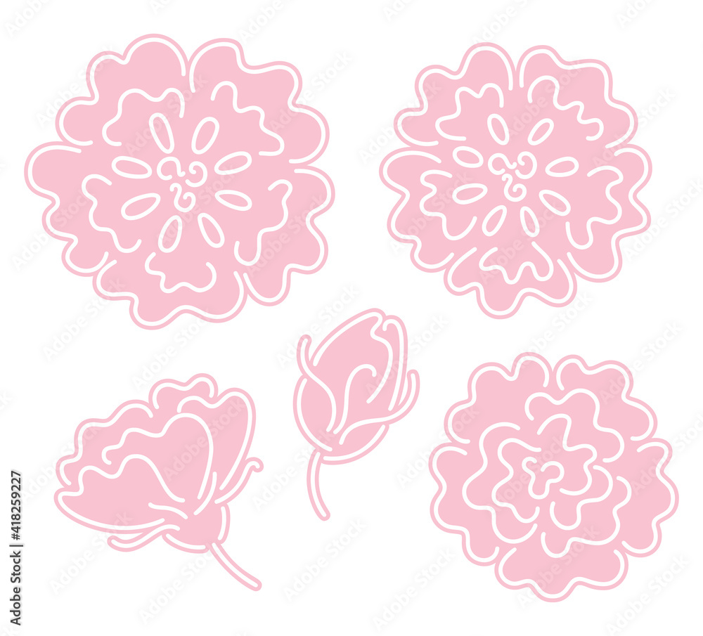Set of pink rose flowers