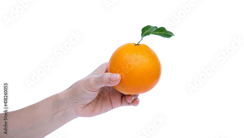 A woman's hand holds a ripe...